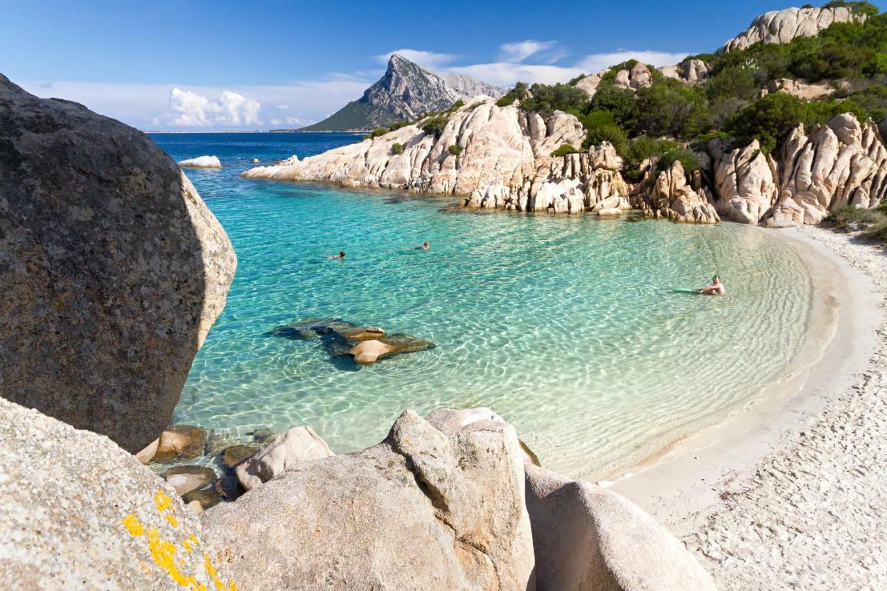 Residence L'Ea Di Lavru - Appartamenti Mono-Bilo-Trilocali Porto San Paolo  Eksteriør billede