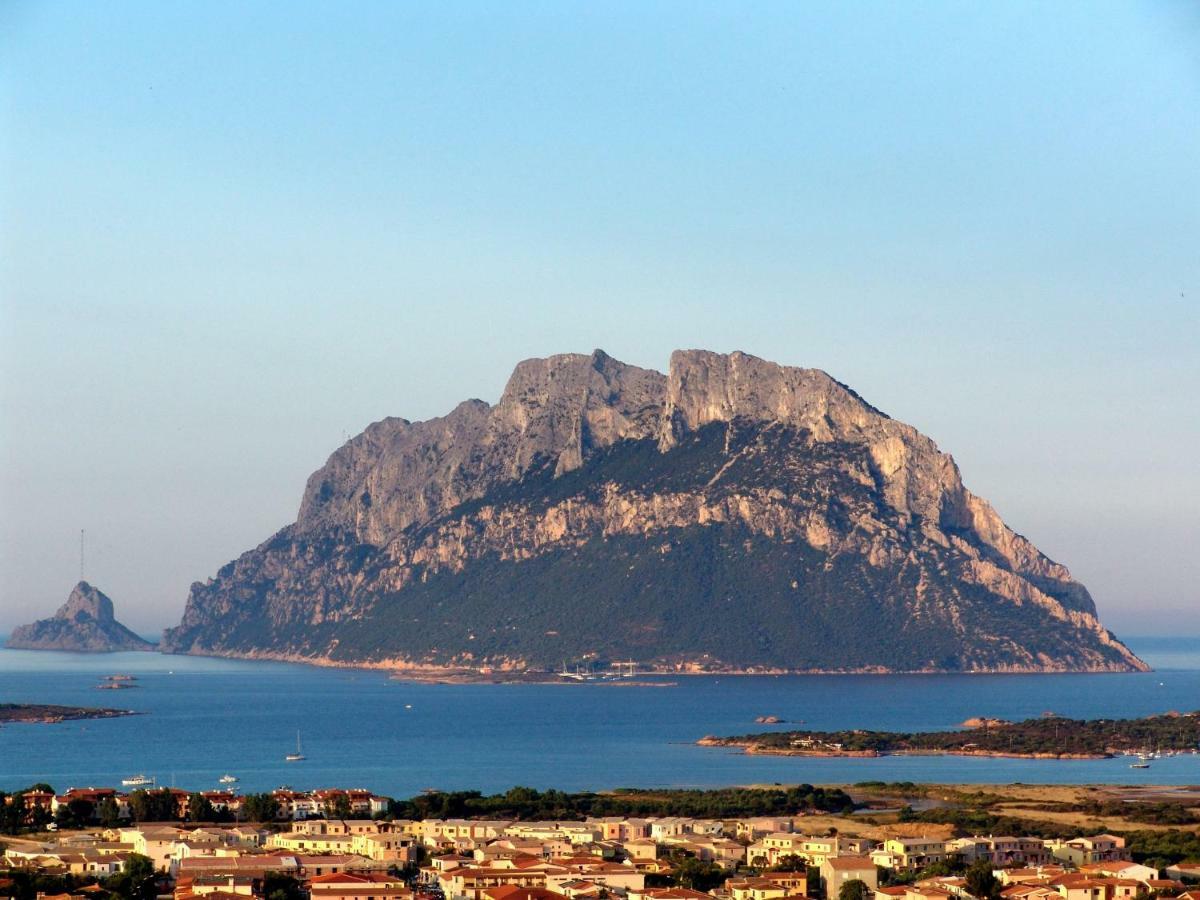 Residence L'Ea Di Lavru - Appartamenti Mono-Bilo-Trilocali Porto San Paolo  Eksteriør billede